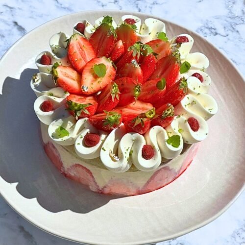 photo fraisier fraisier