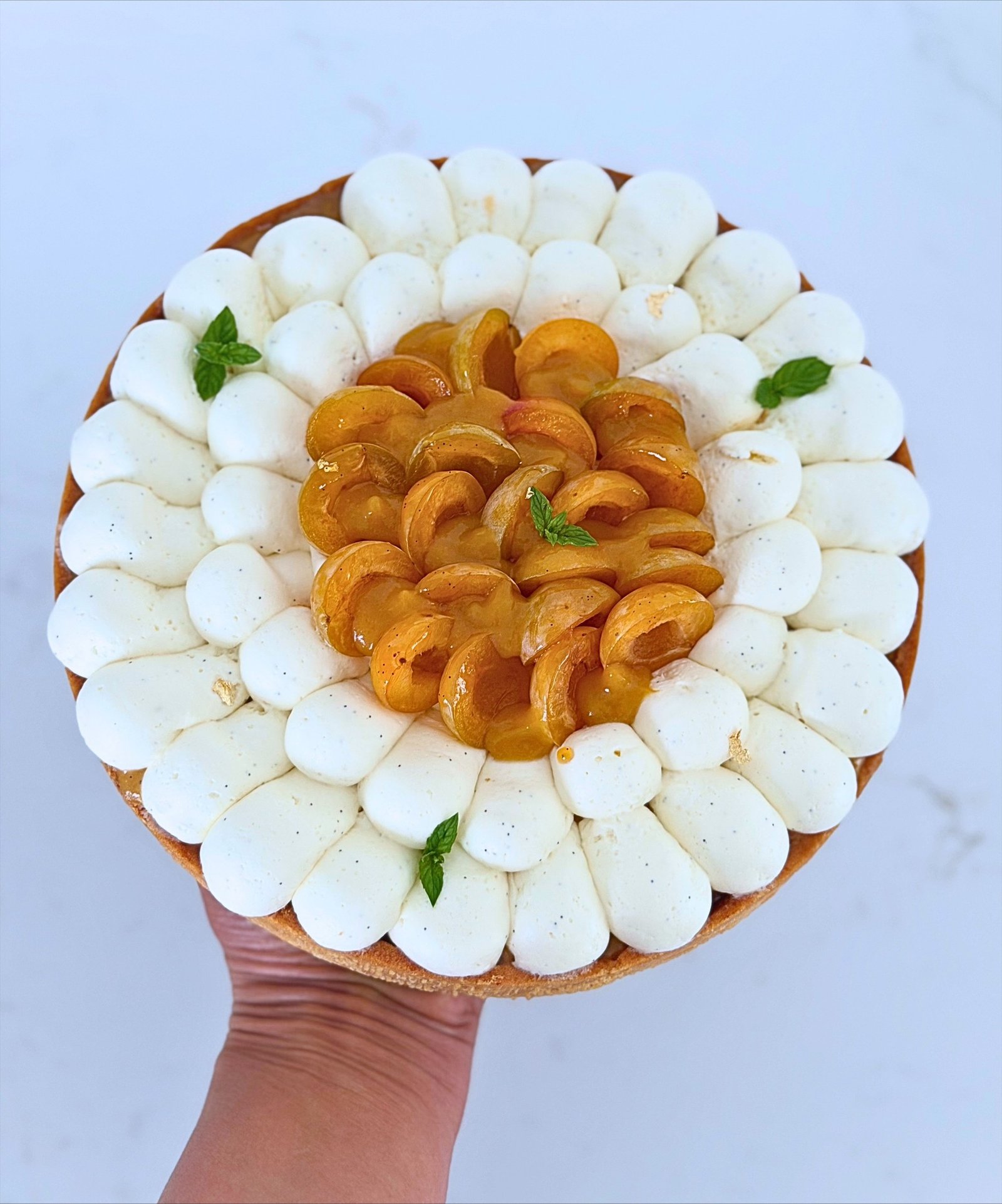 Tarte aux Mirabelles<br><br> – Image 2